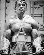 Arnold201