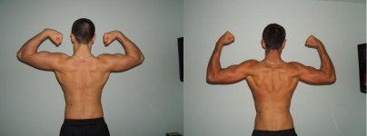 Back biceps - sammenligning - 03-02-10.jpg
