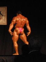 roelly8.jpg