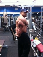 Tricep roelly
