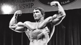 arnoldschwarzenegger2.jpg arnoldschwarzenegger2.jpg