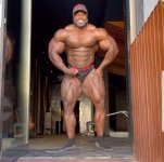 brandon curry road to 2021 mister olympia 20 agosto 2021.jpg