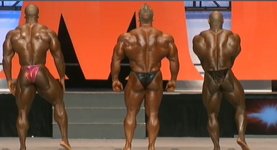 FireShot Screen Capture 009   Free 2013 Olympia Webcast Presented By Bodybuilding com Muscle