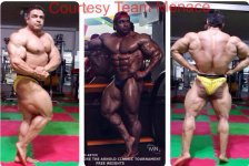 Baitollah abbaspour 10 days out from the 2014 arnold brazil