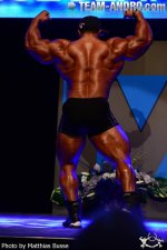 Roelly winklaar guest posing at the 2014 mozolani classic 3