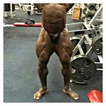 Akim 1 week out legs 2014 ny pro