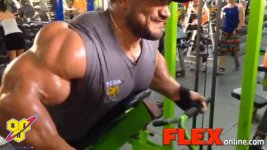 Roelly back 2014 chicago
