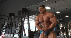 Steve kuclo prepping for the 2014 mr olympia