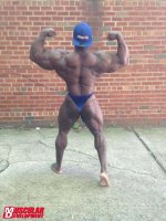 Akim Williams 10 Day Out From The Chicago Pro 2014  2