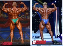 Justin compton vs dennis wolf 2014