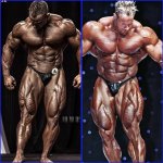 Guy cisternino vs jay cutler quad stomp