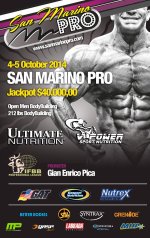 2014 San Marino Pro