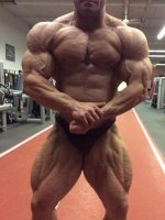 Ronny rockel 2 days out