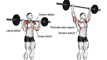 The Ultimate Guide to Shoulder Mass: The Best Exercises for Building ...