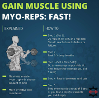 Understanding Myo Reps: A Bodybuilder's Guide to Maximizing Workouts ...