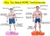 Testosterone