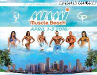 Miami muscle beach