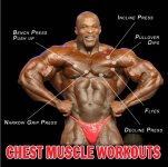 Chest workout