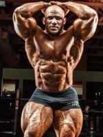 Big Ramy 2016 mr o