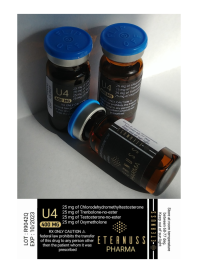 U4 U4