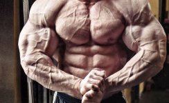 Guess this bodybuilder