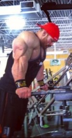 Flex lewis