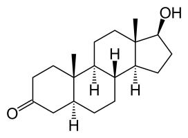1769034324888.png