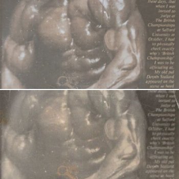 Please help me find the original photo of this bodibuilder!