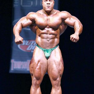 2013 Bodybuilding Images