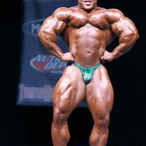 2013 Bodybuilding Images