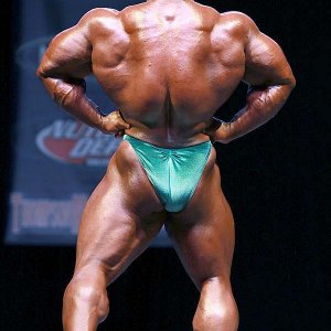 2013 Bodybuilding Images