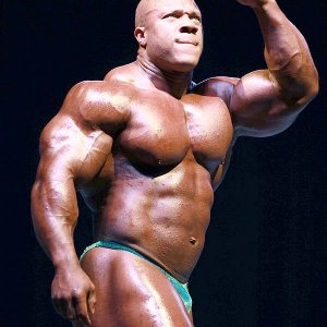 2013 Bodybuilding Images