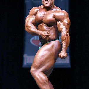 2013 Bodybuilding Images