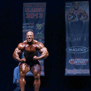 2013 Bodybuilding Images