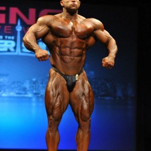 2013 Bodybuilding Images