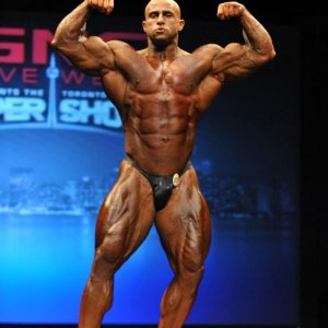 2013 Bodybuilding Images