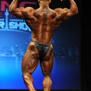 2013 Bodybuilding Images