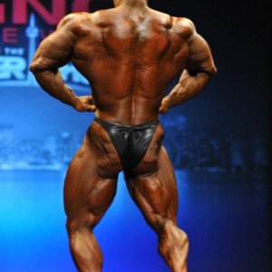 2013 Bodybuilding Images