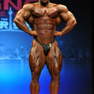 2013 Bodybuilding Images