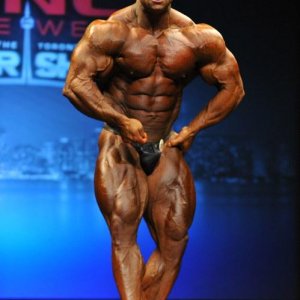 2013 Bodybuilding Images