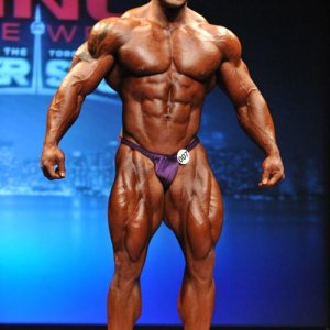 2013 Bodybuilding Images