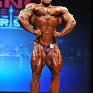 2013 Bodybuilding Images