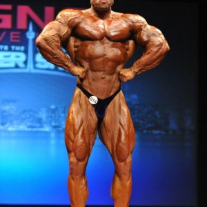 2013 Bodybuilding Images