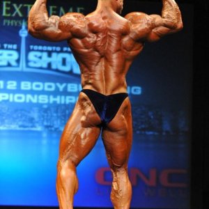 2013 Bodybuilding Images