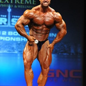 2013 Bodybuilding Images