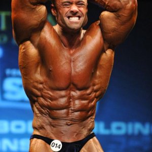 2013 Bodybuilding Images