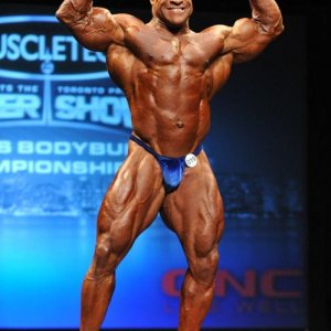 2013 Bodybuilding Images