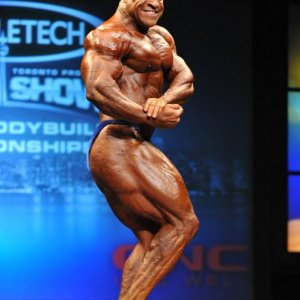 2013 Bodybuilding Images