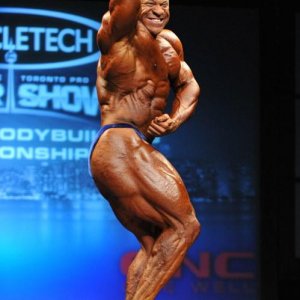 2013 Bodybuilding Images