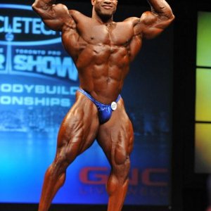 2013 Bodybuilding Images